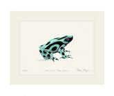 Green and Black Poison Dart Frog Print