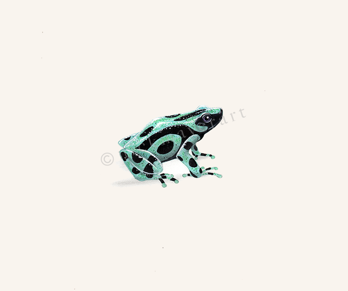 Green-Poison-Frog-Art-