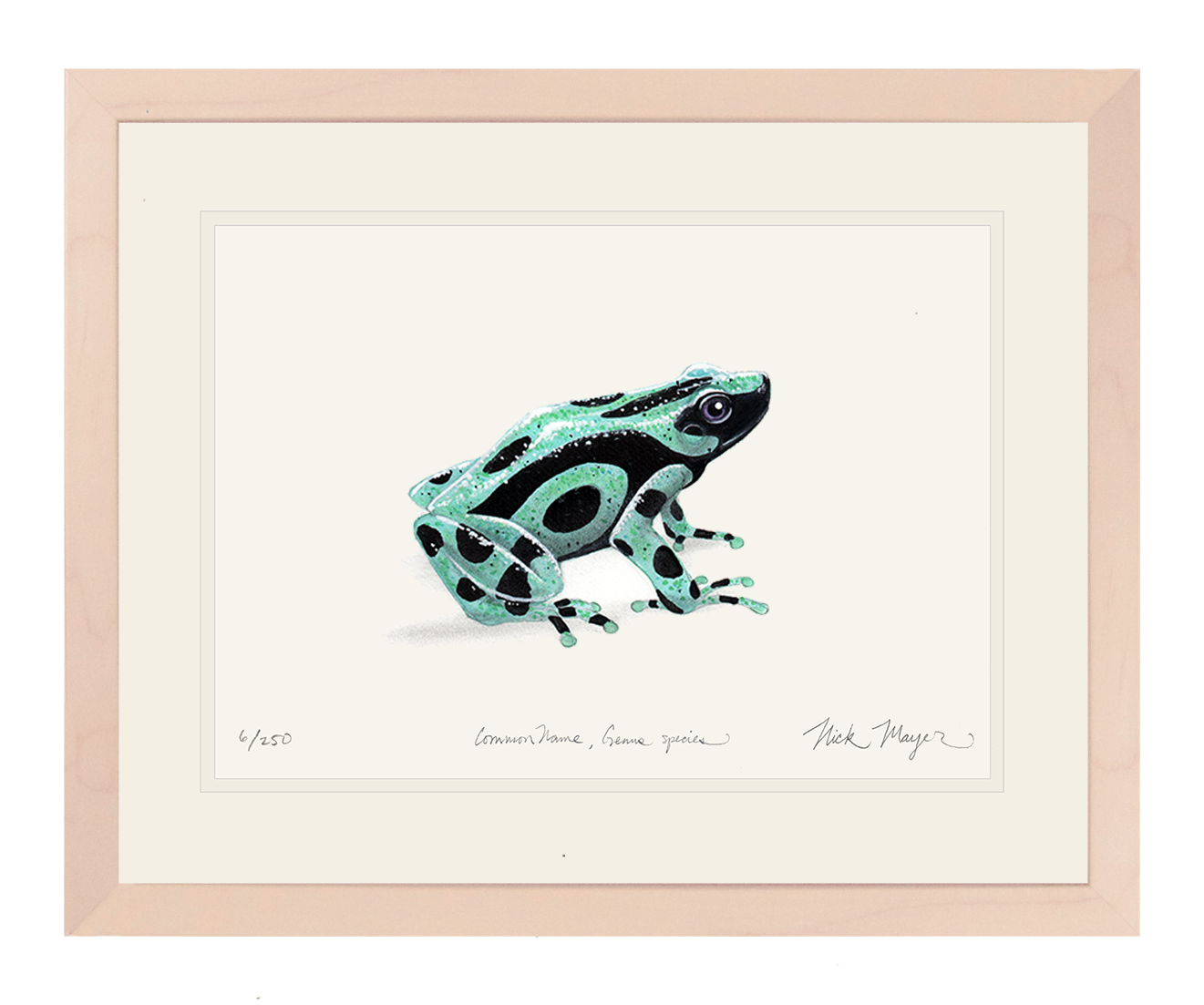 Green and Black Poison Dart Frog Limited Edition Print