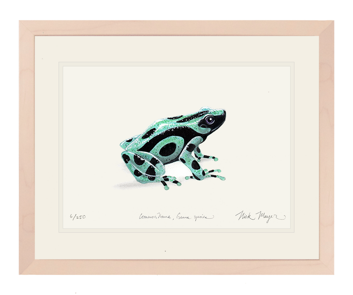 Green and Black Poison Dart Frog Print