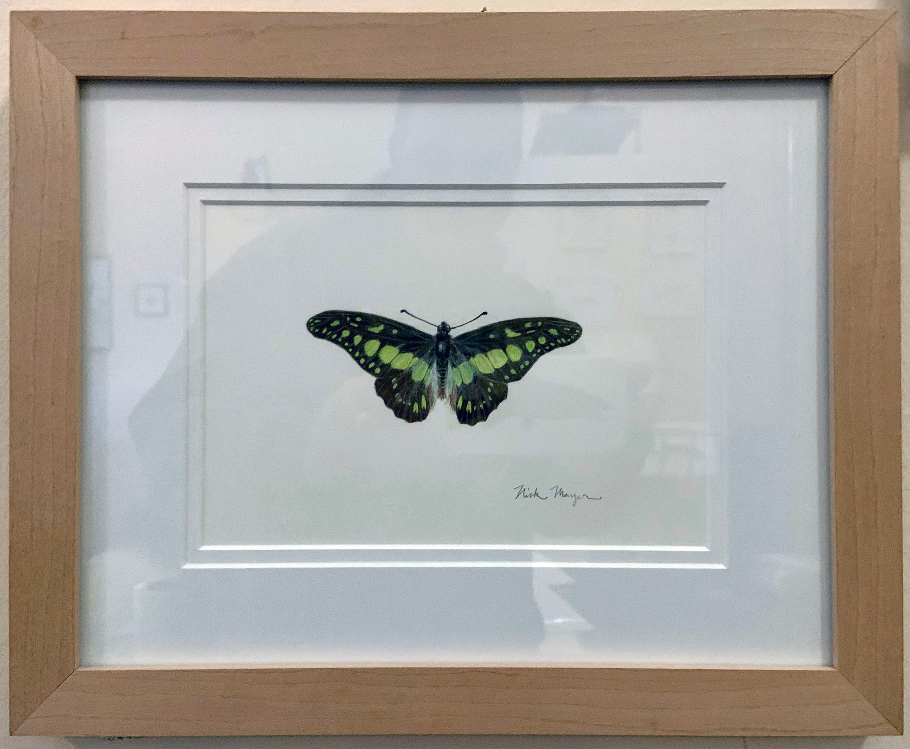 Electric Green Swordtail Butterfly Original Painting