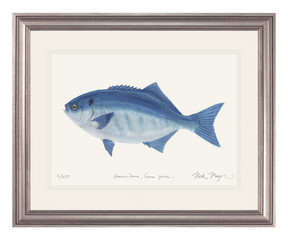 Halfmoon Print