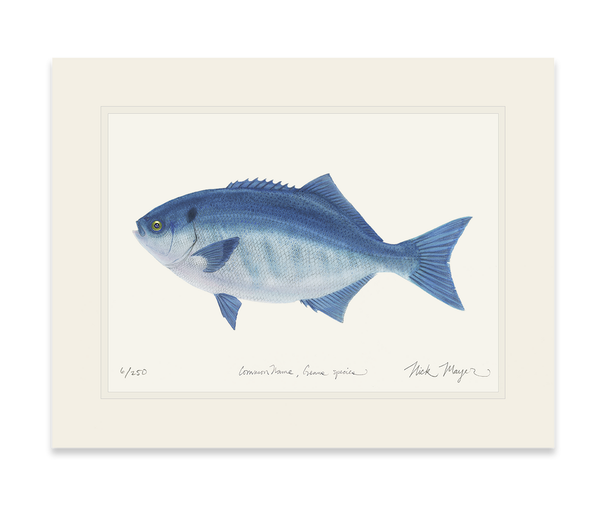 Halfmoon Print