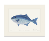 Halfmoon Print