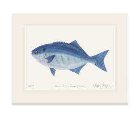 Halfmoon Print
