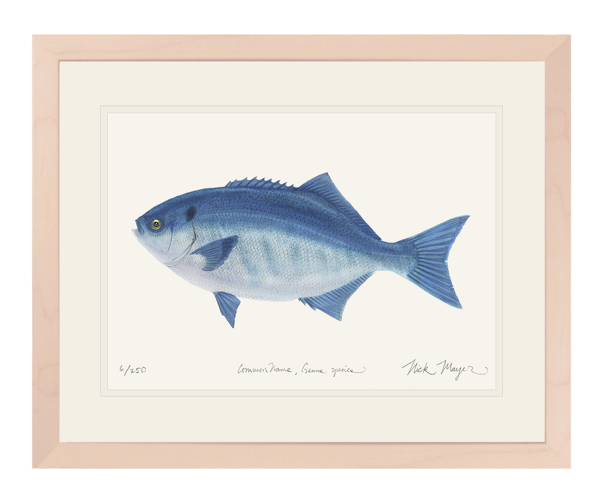 Halfmoon Print