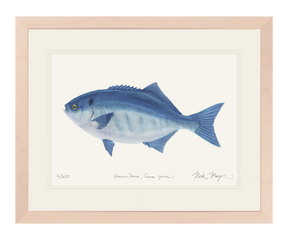 Halfmoon Print