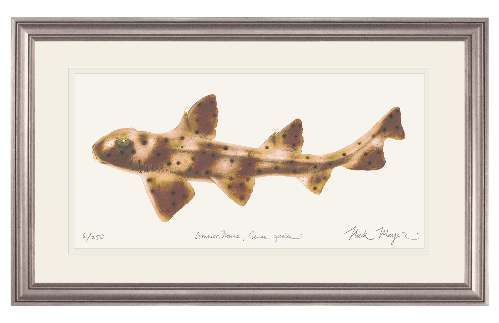 Horn Shark Print