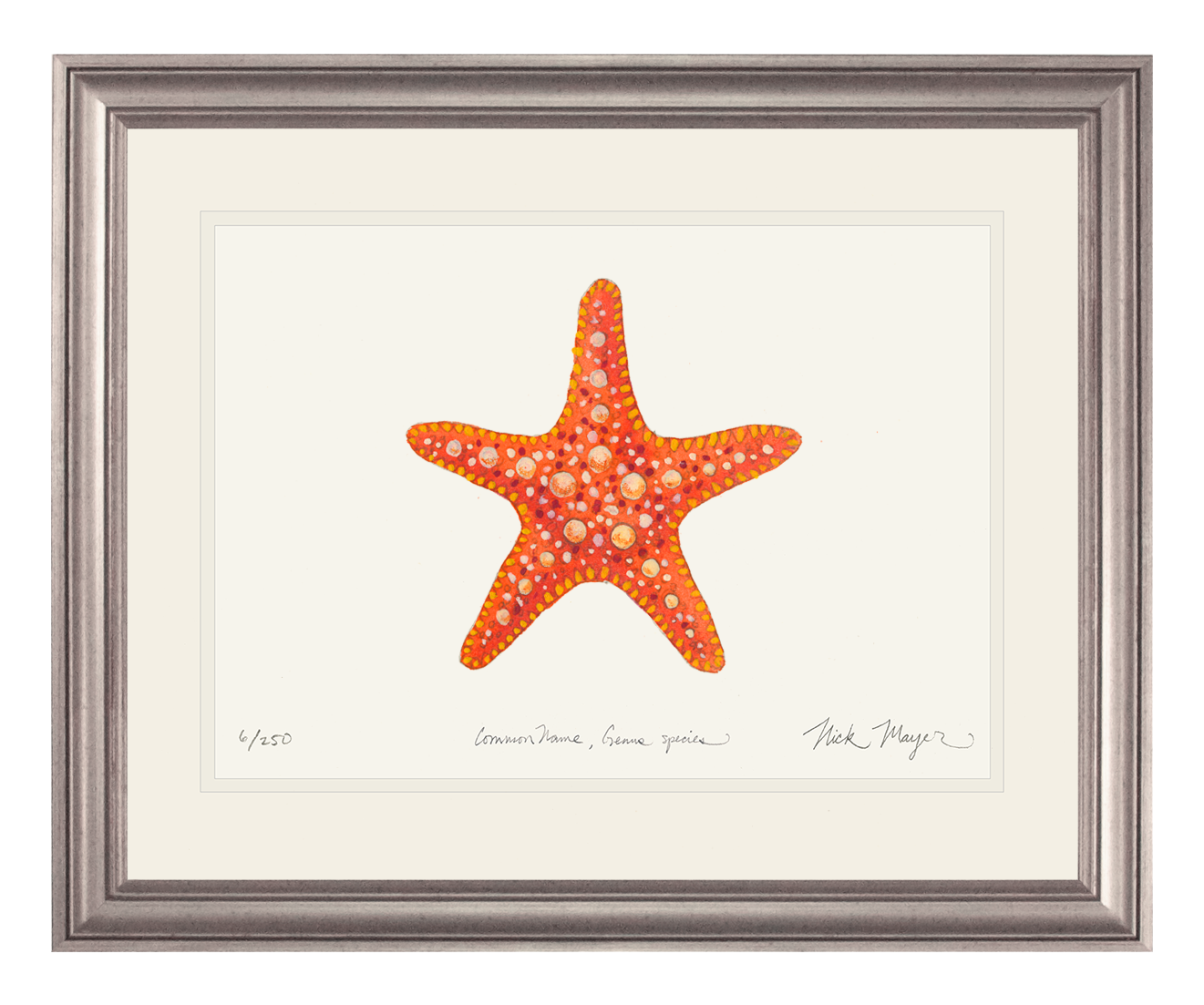 Horned Sea Star Print