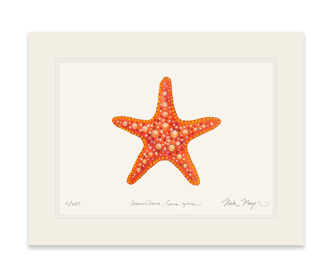 Horned Sea Star Limited Edition Print