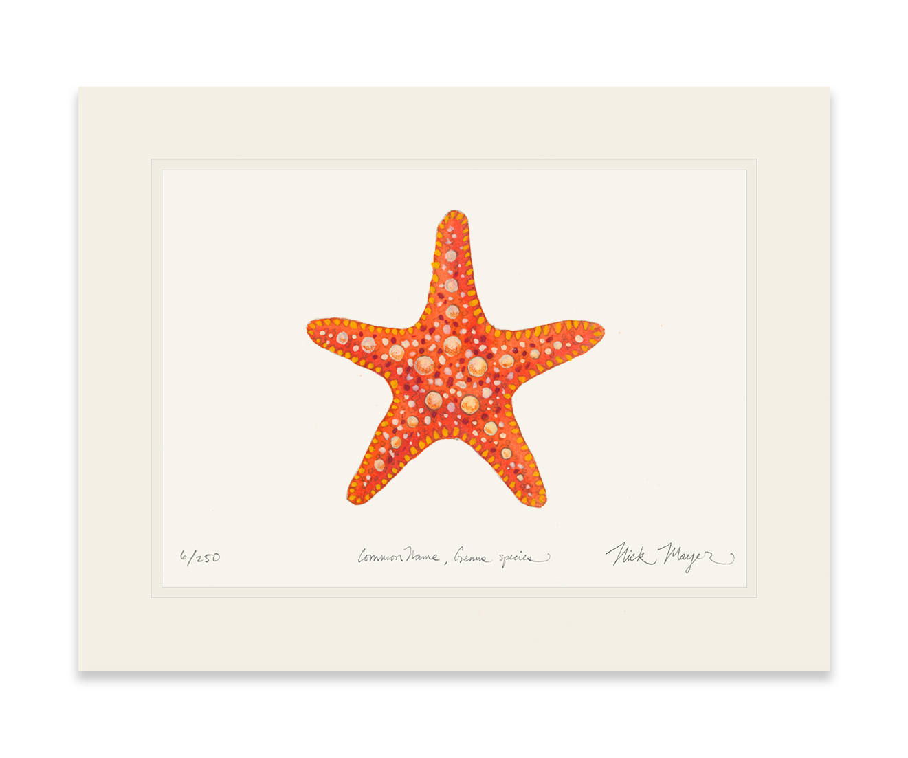 Horned Sea Star Print