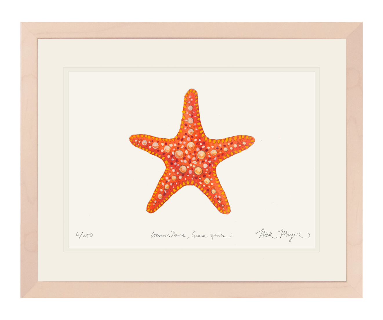 Horned Sea Star Limited Edition Print
