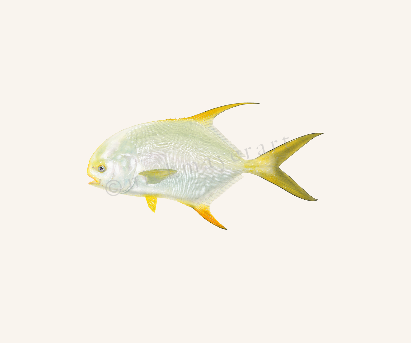 watermark