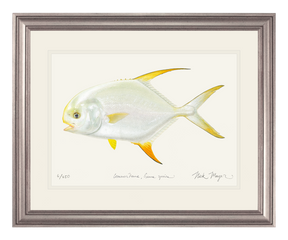Indo Pacific Permit II Print