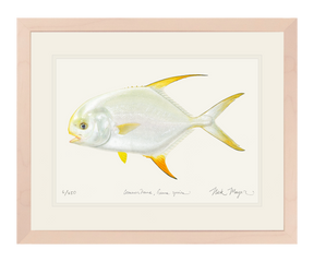 Indo Pacific Permit II Print