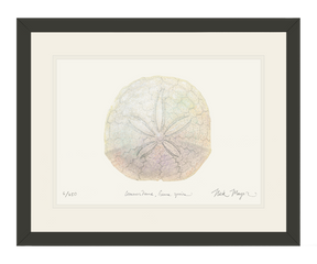 Ivory Sand Dollar II Print