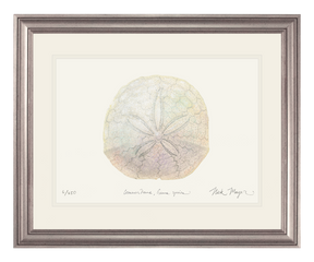 Ivory Sand Dollar II Print