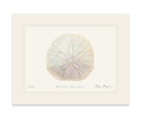 Ivory Sand Dollar II Print