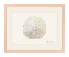 Ivory Sand Dollar II Print