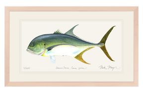 Jack Crevalle Print