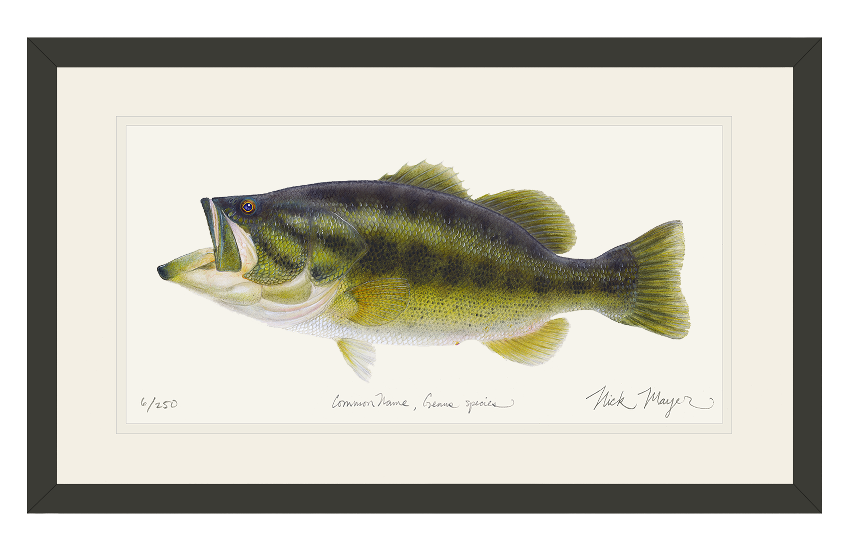 Largemouth Bass I Limited Edition Print