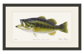 Largemouth Bass Original Watercolor Painting