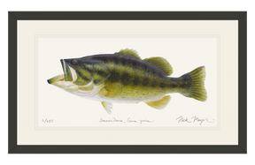 Largemouth Bass Original Watercolor Painting