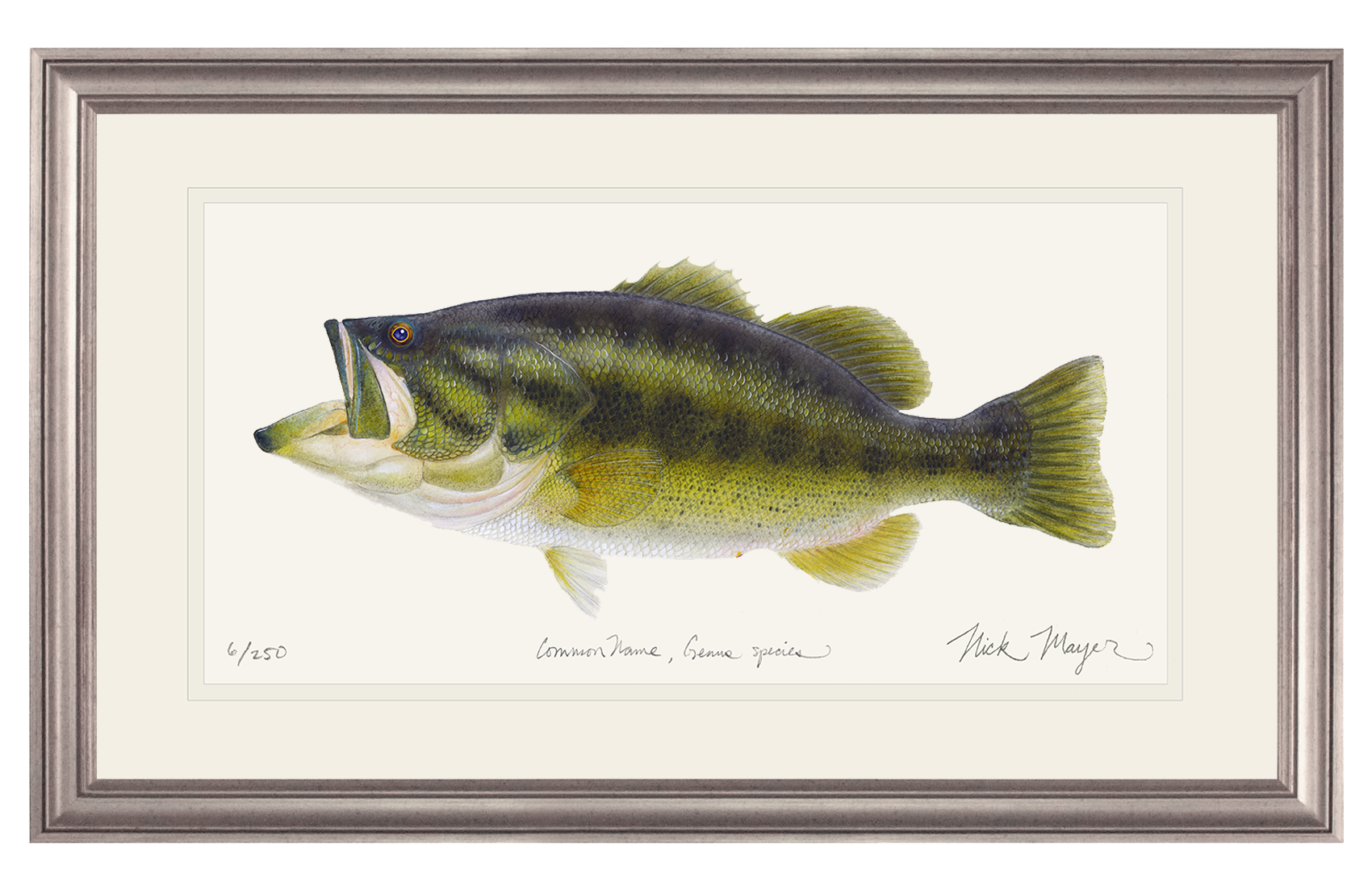 Bring the outdoors inside with our Largemouth Bass print