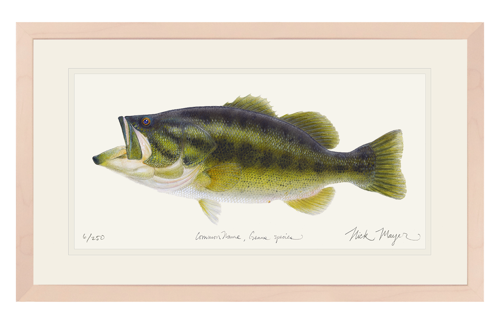 Largemouth Bass I Limited Edition Print