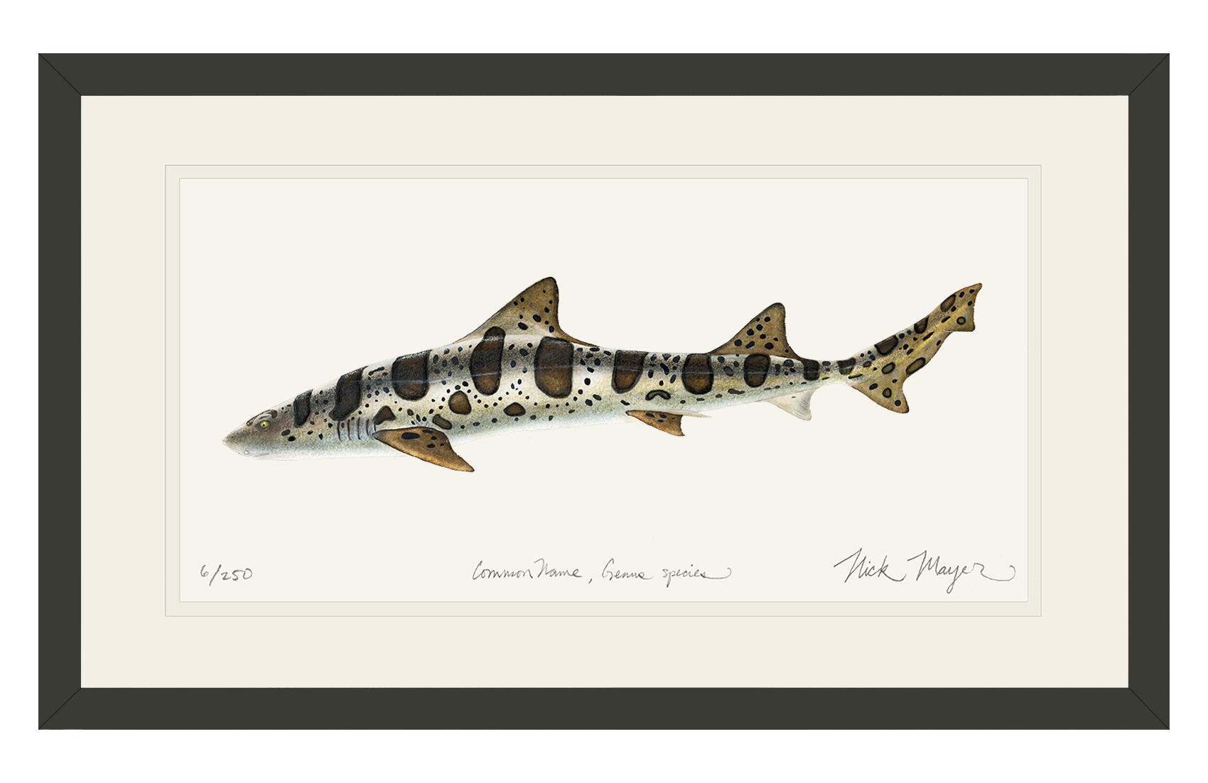 Leopard Shark Limited Edition Print