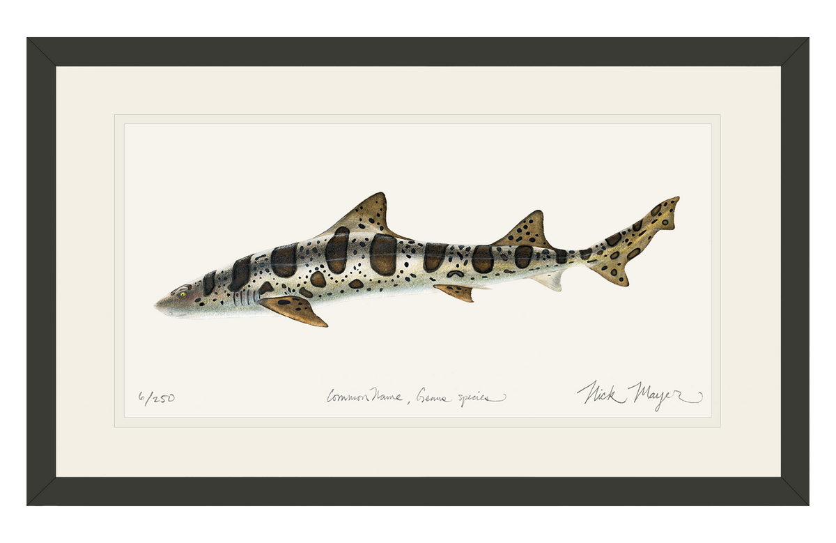 Leopard Shark Print