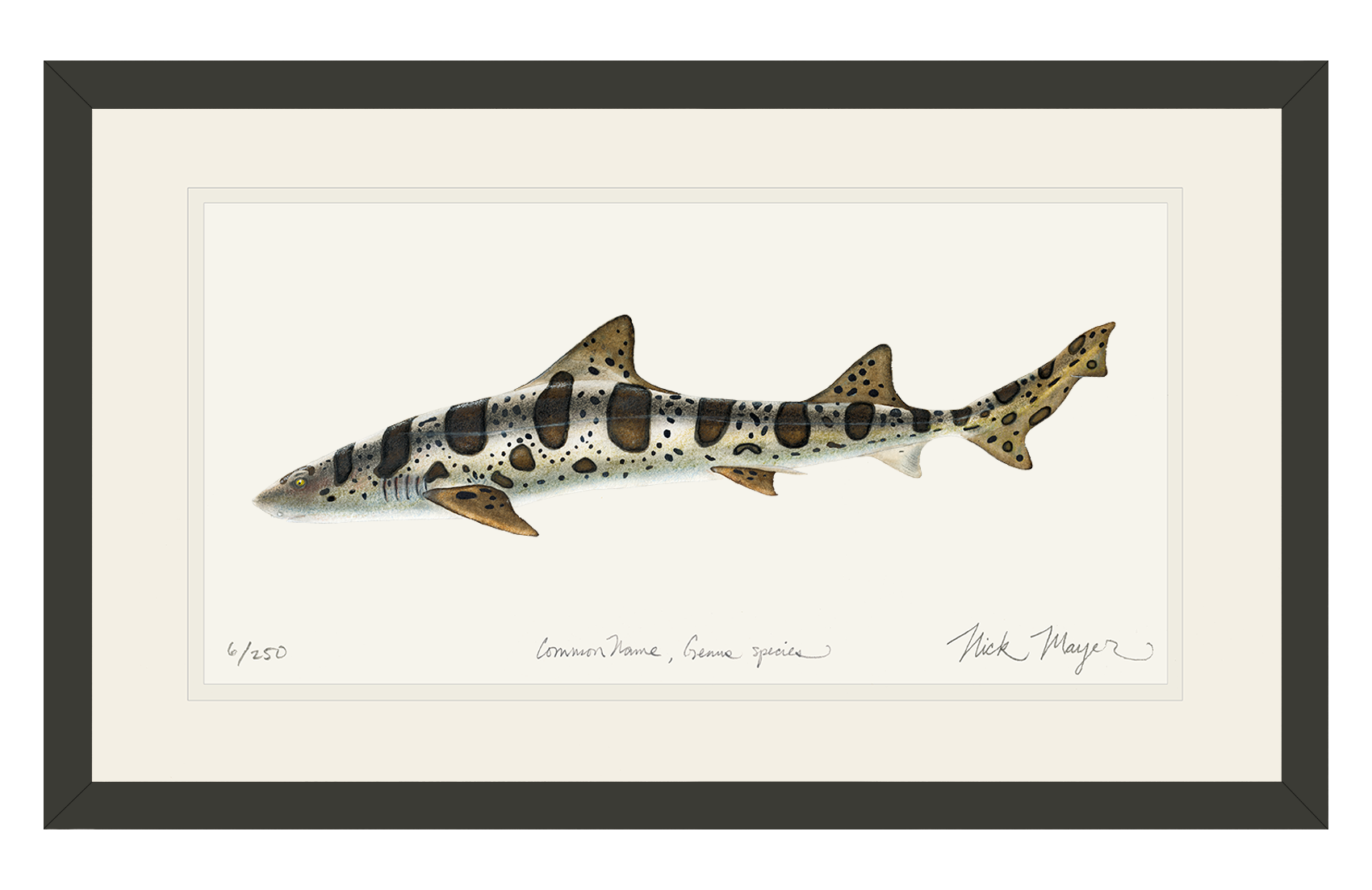 Leopard Shark Print