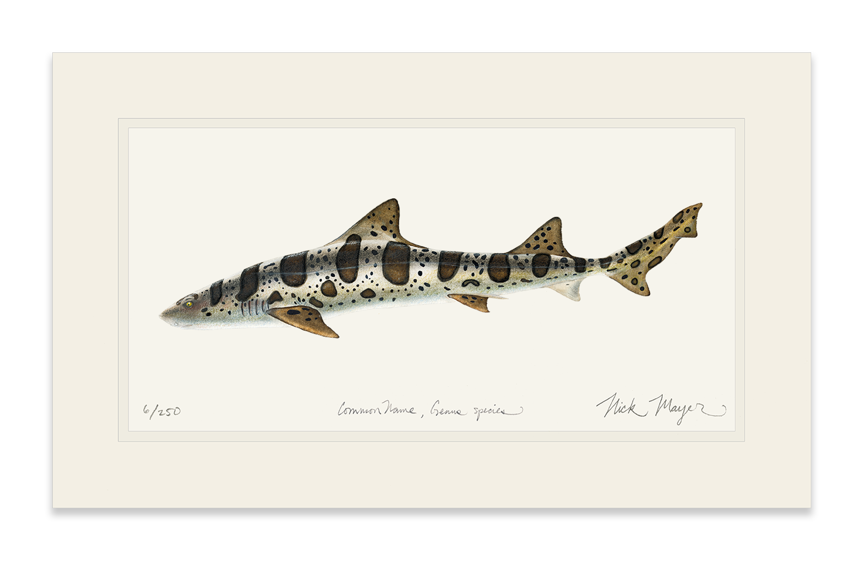 Leopard Shark Print
