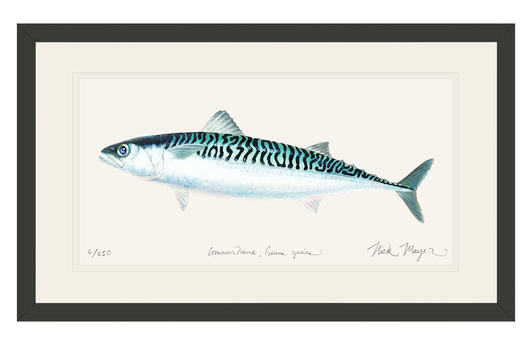 Mackerel Limited Edition Print