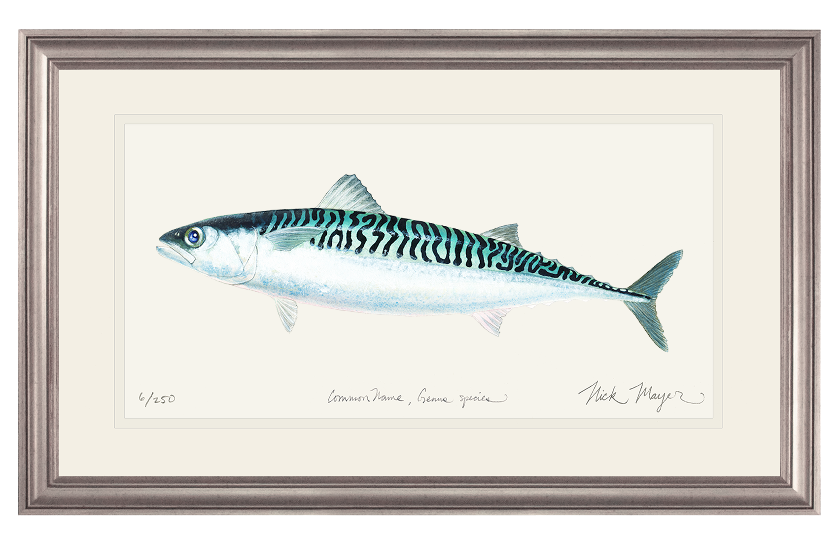 Mackerel Limited Edition Print