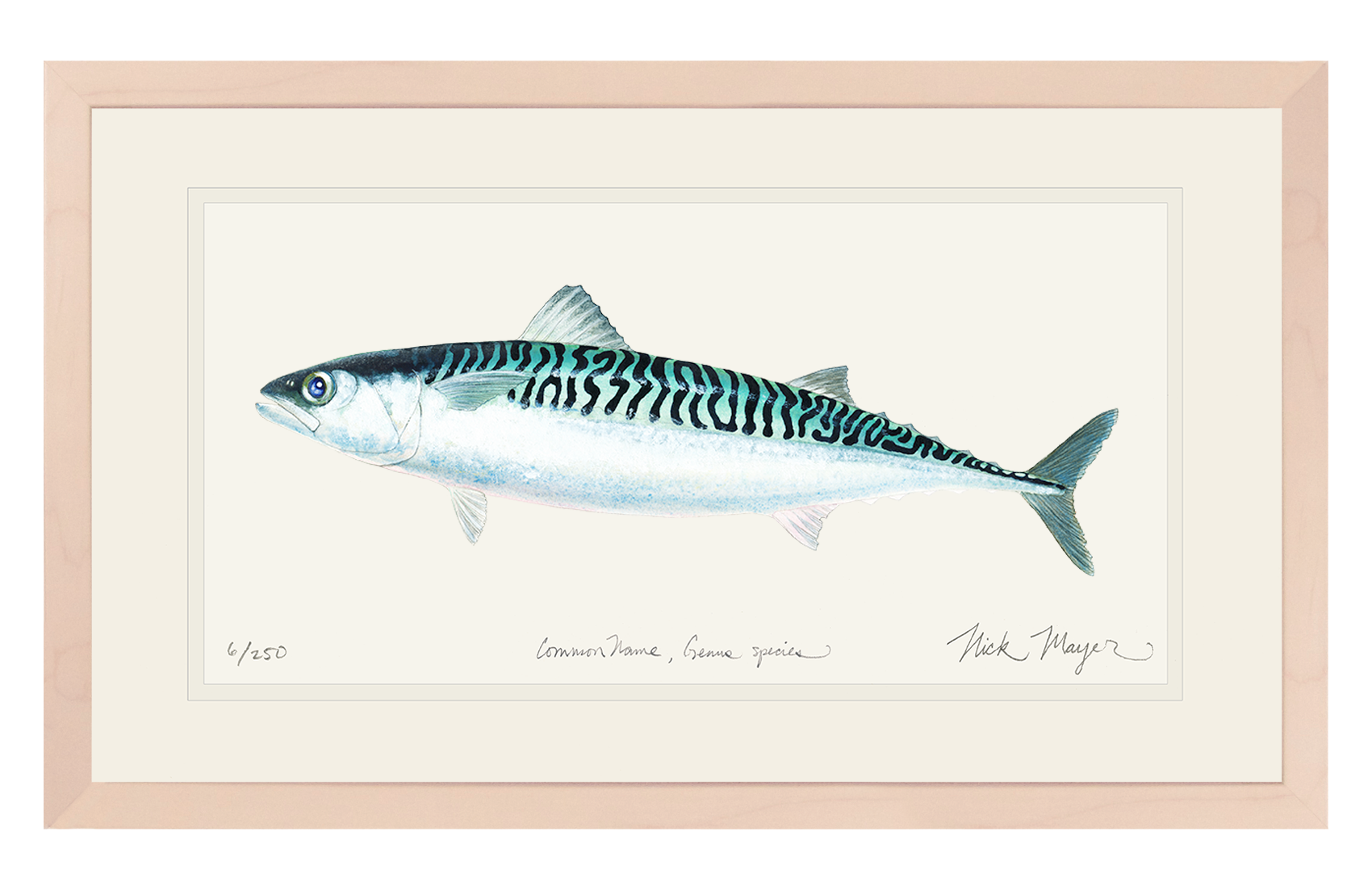 Mackerel Limited Edition Print