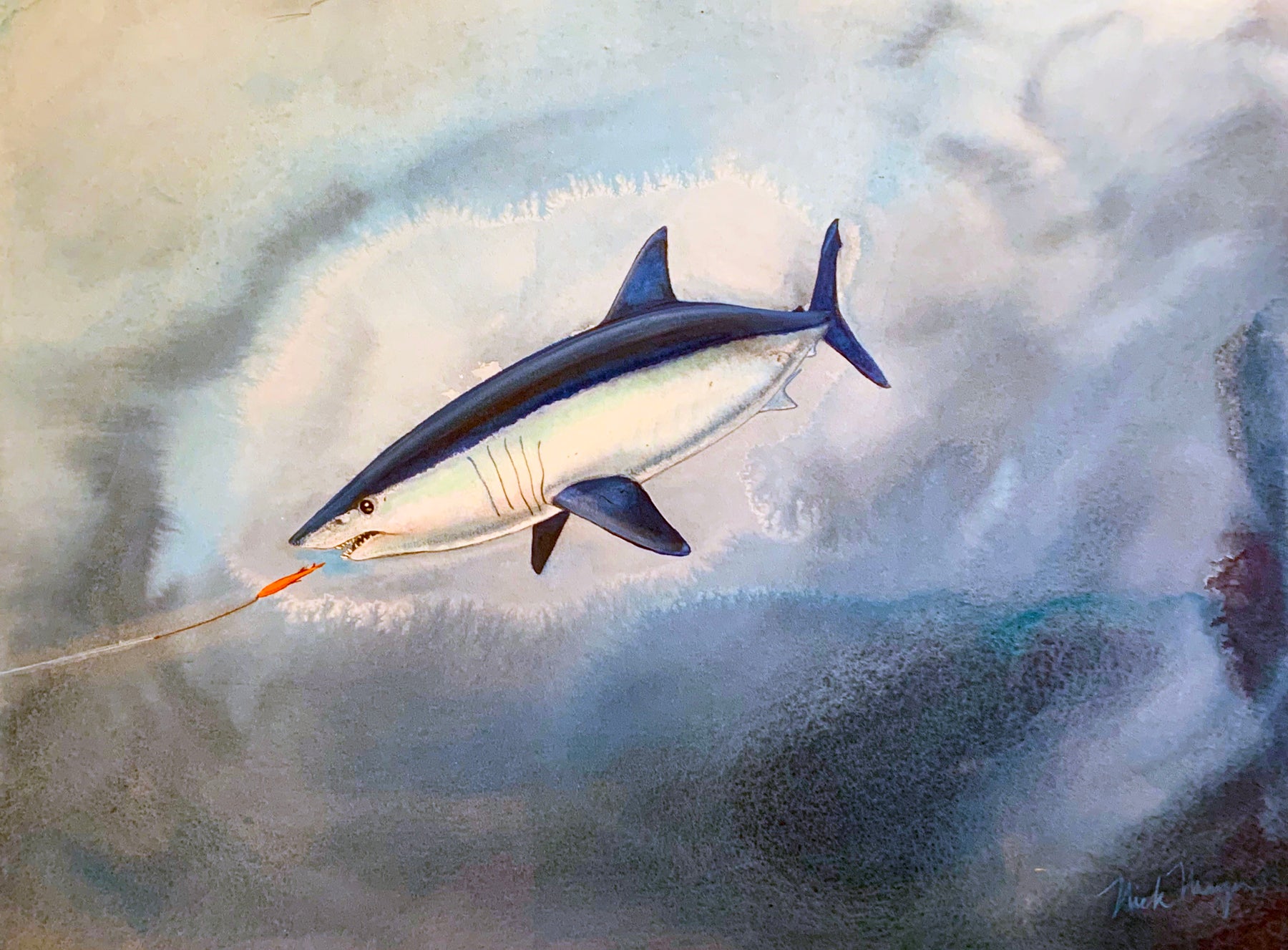 Mako Shark and Fly Study Original Painting