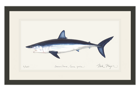 Mako Shark Print