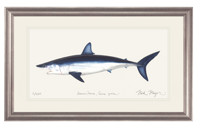Mako Shark Print