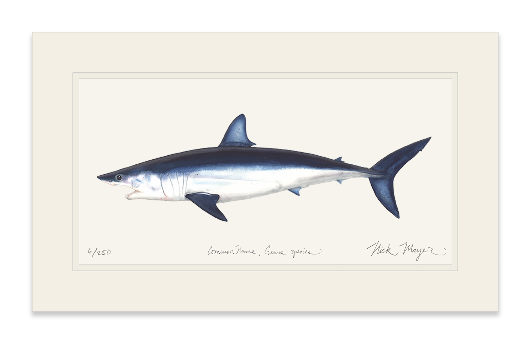 Mako Shark Print