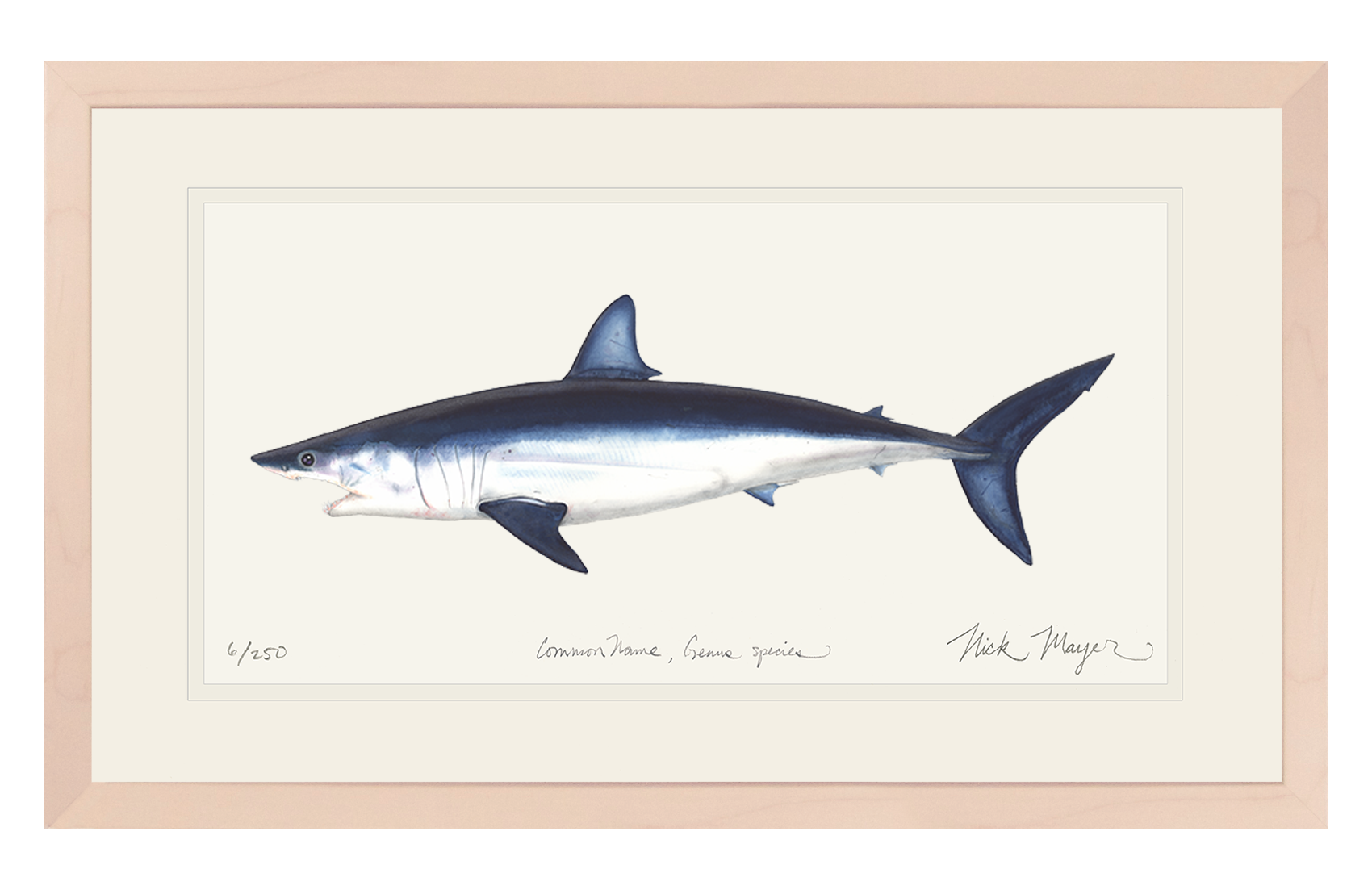 Experience The Thrill Of The Ocean With Our Mako Shark, 56% OFF
