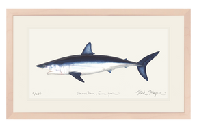 Mako Shark Print