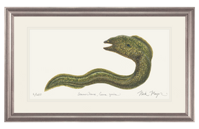 Moray Eel Print
