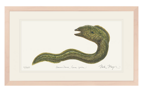 Moray Eel Print