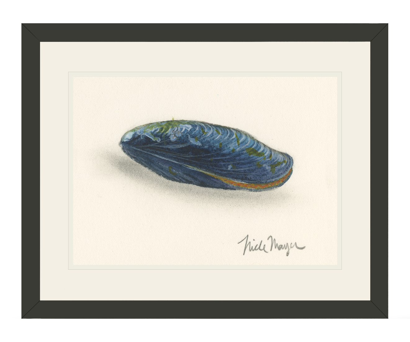 Blue Mussel Print