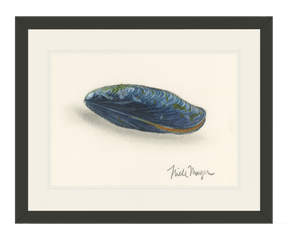 Blue Mussel Print