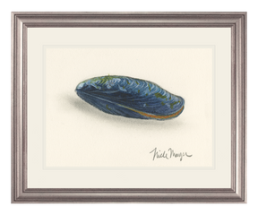 Blue Mussel Print
