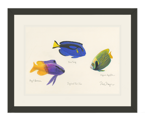 Tropical Fish Trio