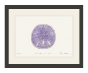 Purple Sand Dollar Print