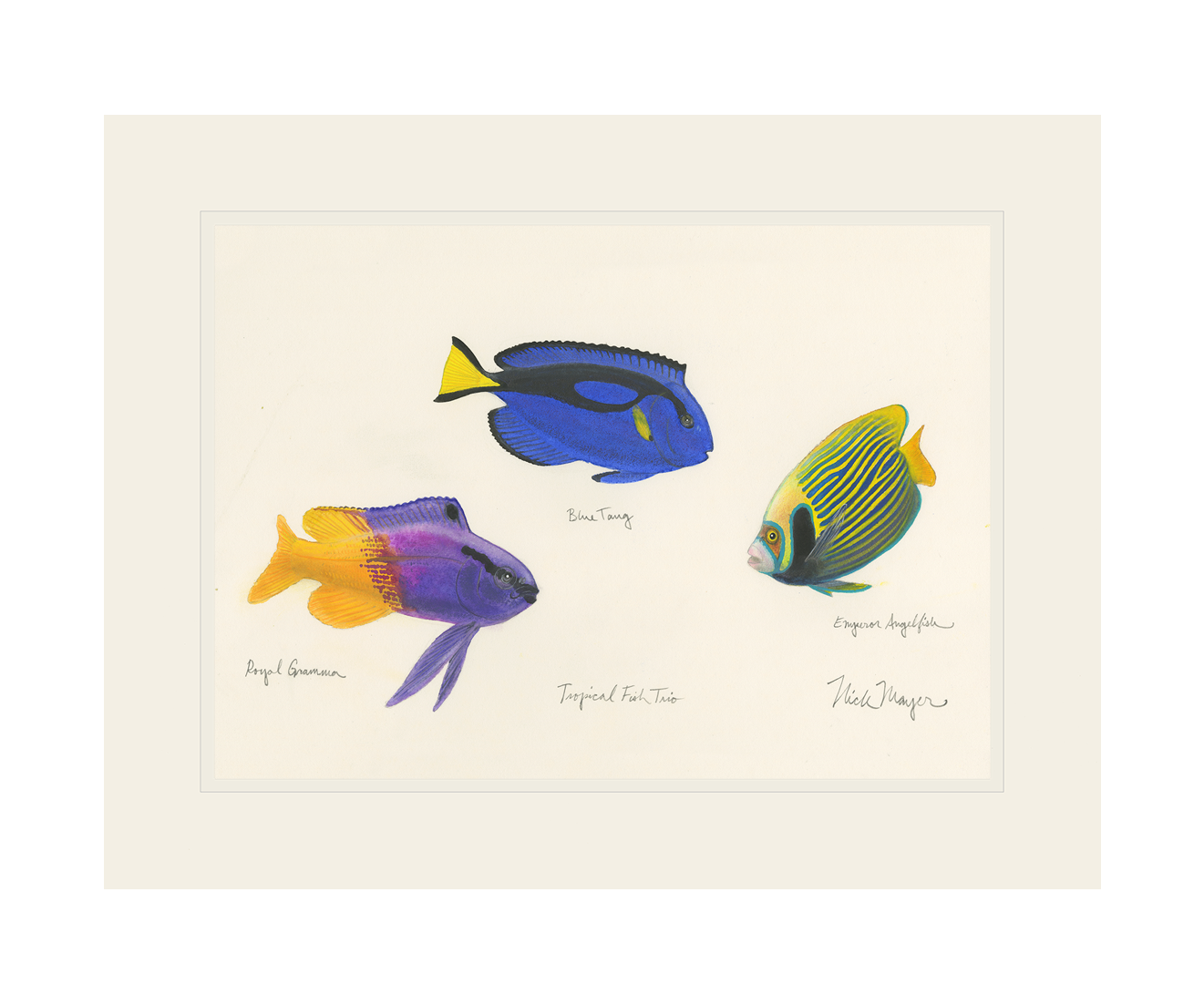 Tropical Fish Trio